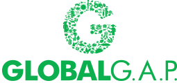 global
